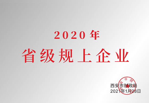 2020年省级规上企业